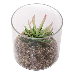 REGENT ARTIFICIAL SUCCULENT IN A CLEAR GLASS - SMALL