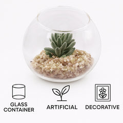 REGENT ARTIFICIAL SUCCULENT IN A CLEAR GLASS SPHERE - SMALL
