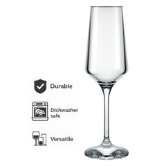 NADIR BRUNELLO STEMMED CHAMPAGNE FLUTE, 225ML